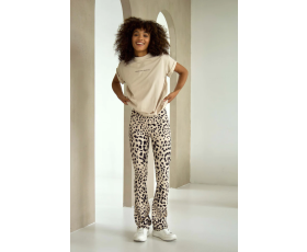 2fdf-a22d-4876-bace-8e2ec5045898