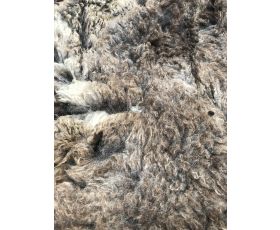 522e-e63d-419e-8e8e-06d33faea64d