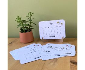 6ea6-cbc1-4cb9-85c2-bc5cdff258eb