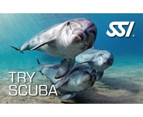 a427-d950-4820-adc3-740be8e32def