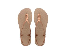 cf58-2da0-47fb-bf41-0bb0c209f773