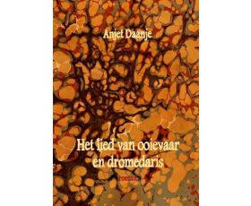 roman getiteld et lied van ooievaar en dromedaris van anjet daanje