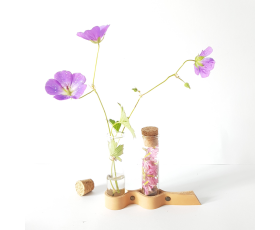 fe81-c50e-48b7-9e78-07318a10cddf